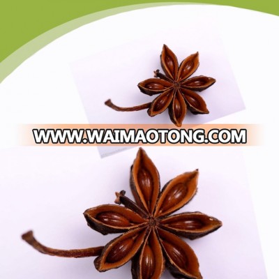 Natural Dried Whole Star Anise Spices